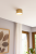 ada5ec09-9891-4841-8ef2-6ab1b8420c81.png