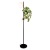 Plantar (1).png