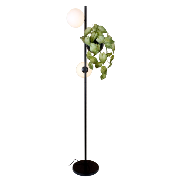 Plantar (1).png