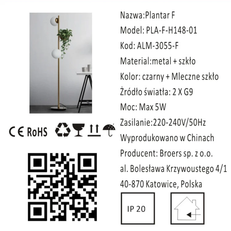 Plantar F.png